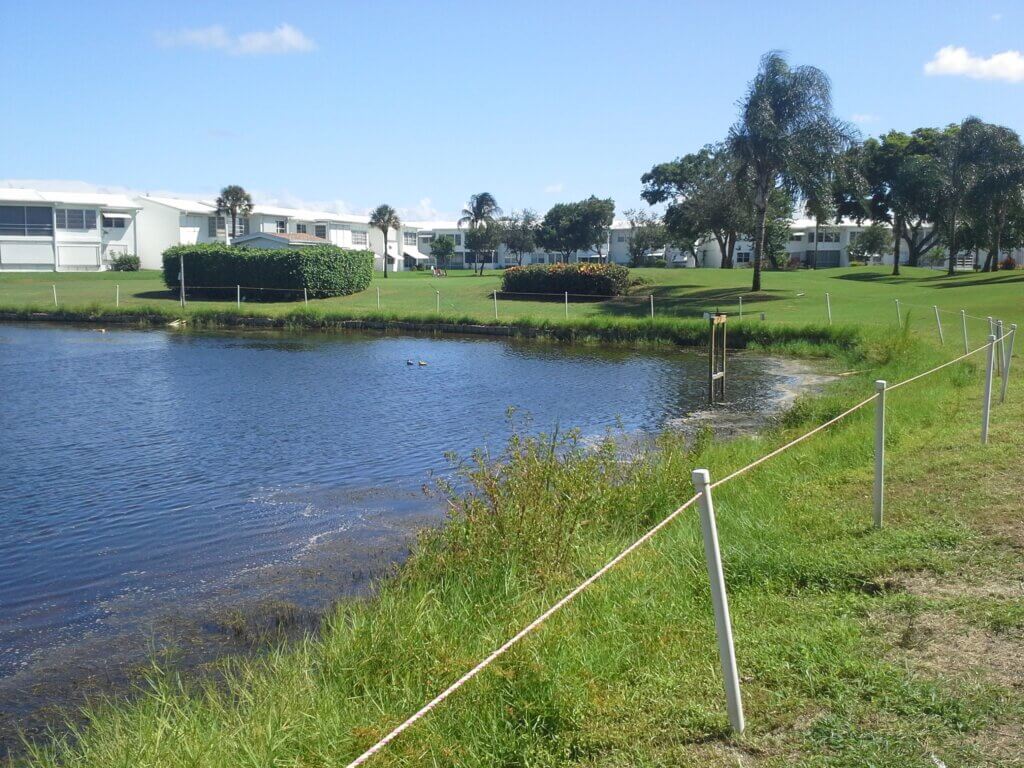 aquagenixpondbankrestoration01_Pond_Bank_Restoration_Before Aquagenix Aquatics
